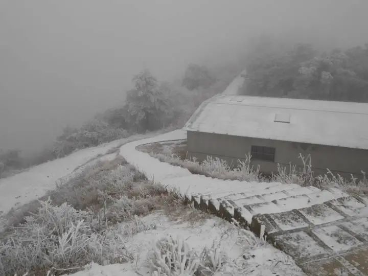 下雪|雪来了！浙江多地下雪啦