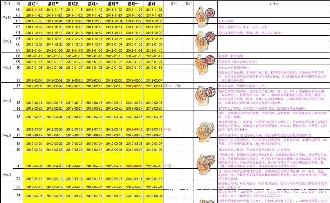 日期|应该怎样确定自己的预产期呢?三个方面,了解医生才知道的内容
