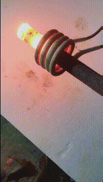 |搞笑GIF:儿时的玩伴,哪有种族之分,都是好朋友