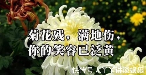 女主#那些年出现的5大网络小说脑残桥段,每一段都可以让你乐呵一下