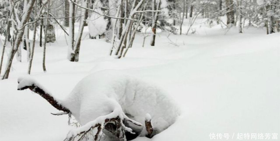 此人只是一位小军官,却写下一首气势磅礴的诗,读来令人热血沸腾