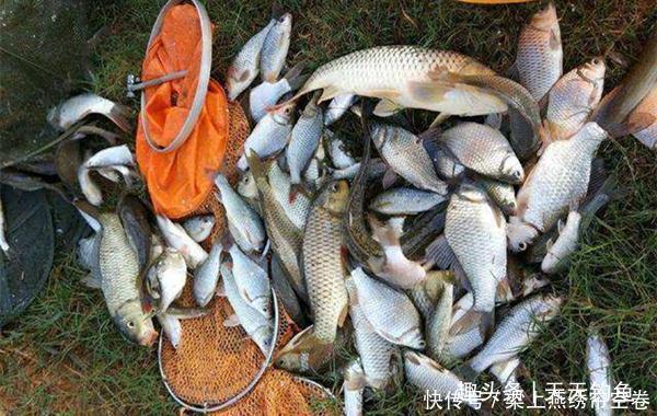 冬季钓鱼技巧风向与钓鱼的关系,冬季什么风向鱼最好钓