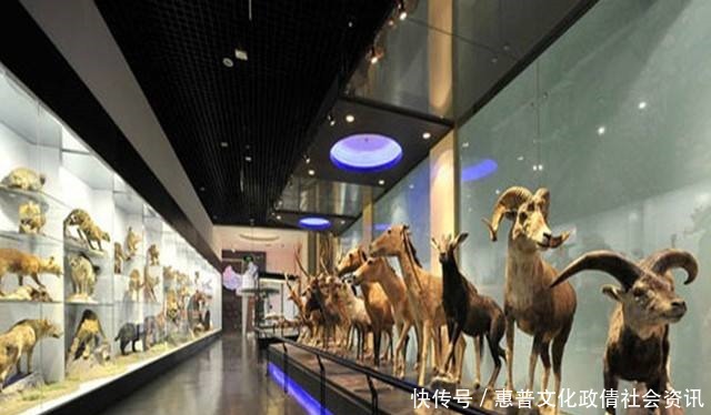 金朝|一件高9.5厘米的“玉俑”,却揭开金国灭亡之谜,原因就在刀柄上