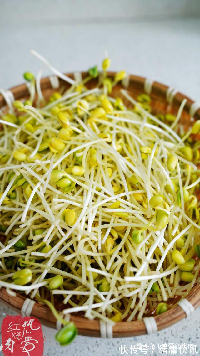 黄豆芽|用了我这办法,发黄豆芽不会变臭一次就成功,五天就长15厘米高!
