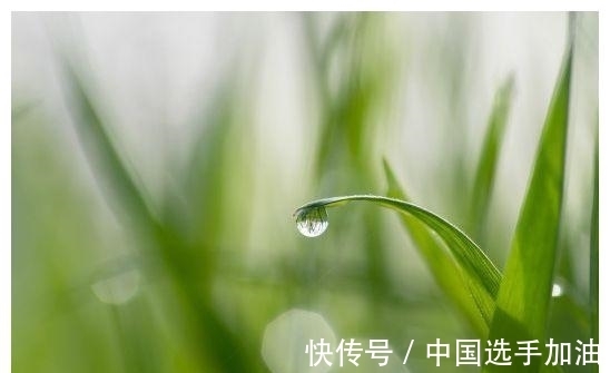 中奖|9月初开始，3星座好运降临，彩票中奖，财运滚滚，心想事成！