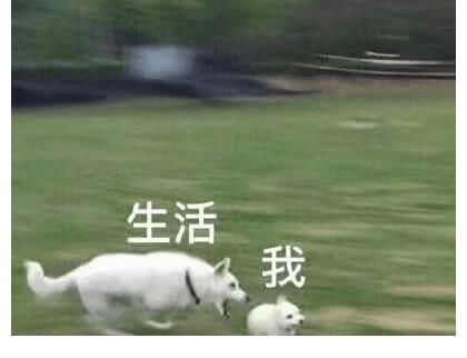 華晨宇|這首華晨宇原創兒歌，誰聽誰可愛！