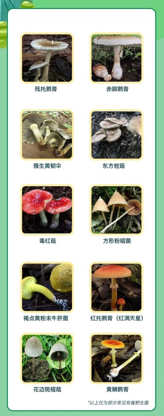 条盖|剧毒！已有人中招！成都疾控紧急提醒