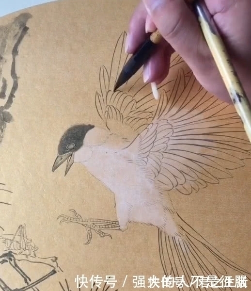 画界@美术生画喜鹊,看手法就感觉不一般,作品完成后:画界大仙!