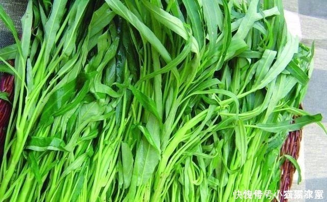 这菜是天然“洗肠草”,常吃去油解腻、润肠通便,贵点也要舍得
