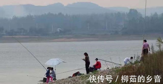 钓友们|入秋了,反而鳊鱼更不好钓照我说的方法调整,不连竿才怪!