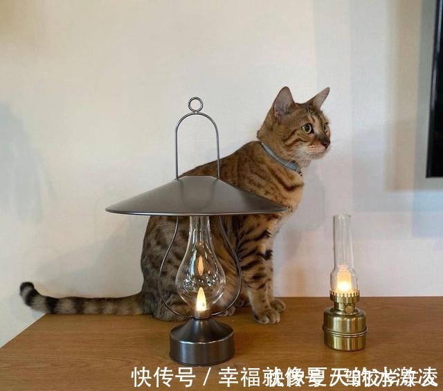 唯美|看了她家之后,治愈了我的抑郁症!小家简单温馨、精致唯美,超爱!
