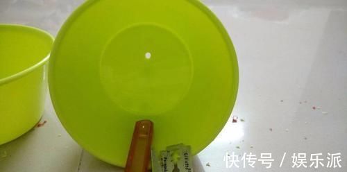 土壤|我用这方法扦插繁殖了几十盆的植物,薄荷、吊兰轻松培育