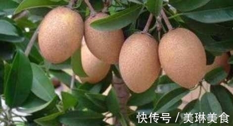 早食|女性常吃此物 可延缓皱纹生长 早吃早好