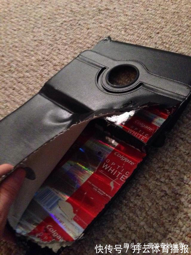 鹦鹉螺&这些东西内部长啥样?25张照片揭示日常事物看不见的一面!