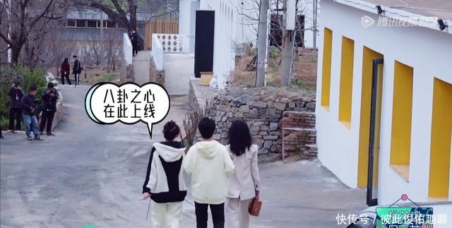 50公里桃花坞|《50公里桃花坞》:孟子义,这孩子太笨了