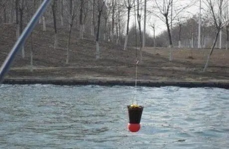 冬钓打窝后,老手都会用“一招”,聚来的鱼大又肥!