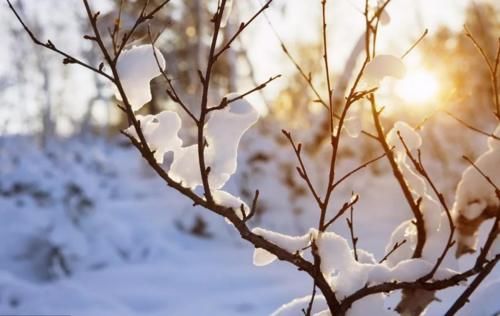 农村俗语“头九不落雪，九九如六月”是啥意思？头九不下雪好吗？