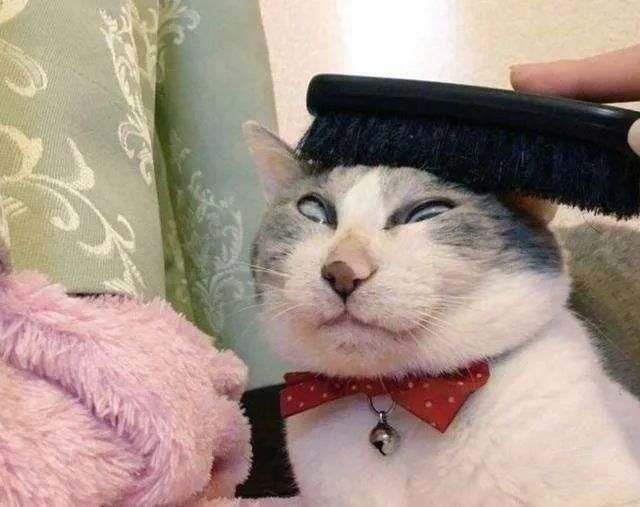 帽子|平时做这些事情,会让头发与你渐行渐远……