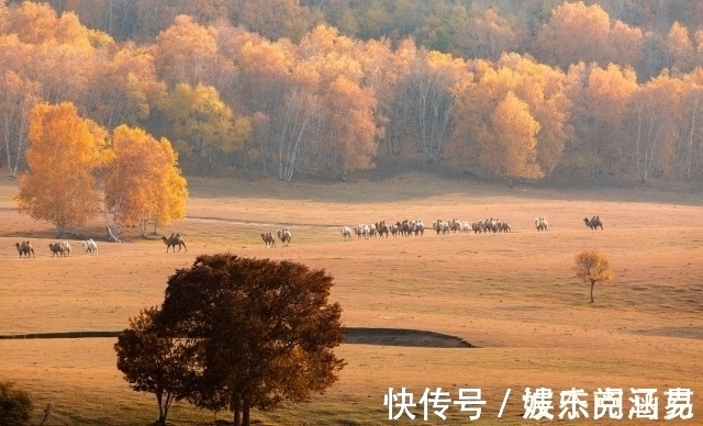 塞外$纳兰性德三首塞外深秋词,冷丽深邃,深山夕照深秋雨