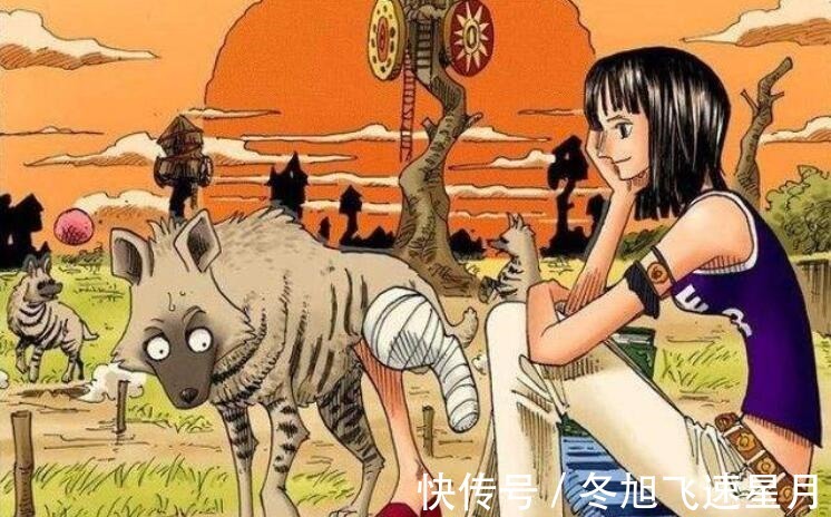 罗杰|海贼王罗宾悬赏令被撤销,和之国篇之后罗宾将下线