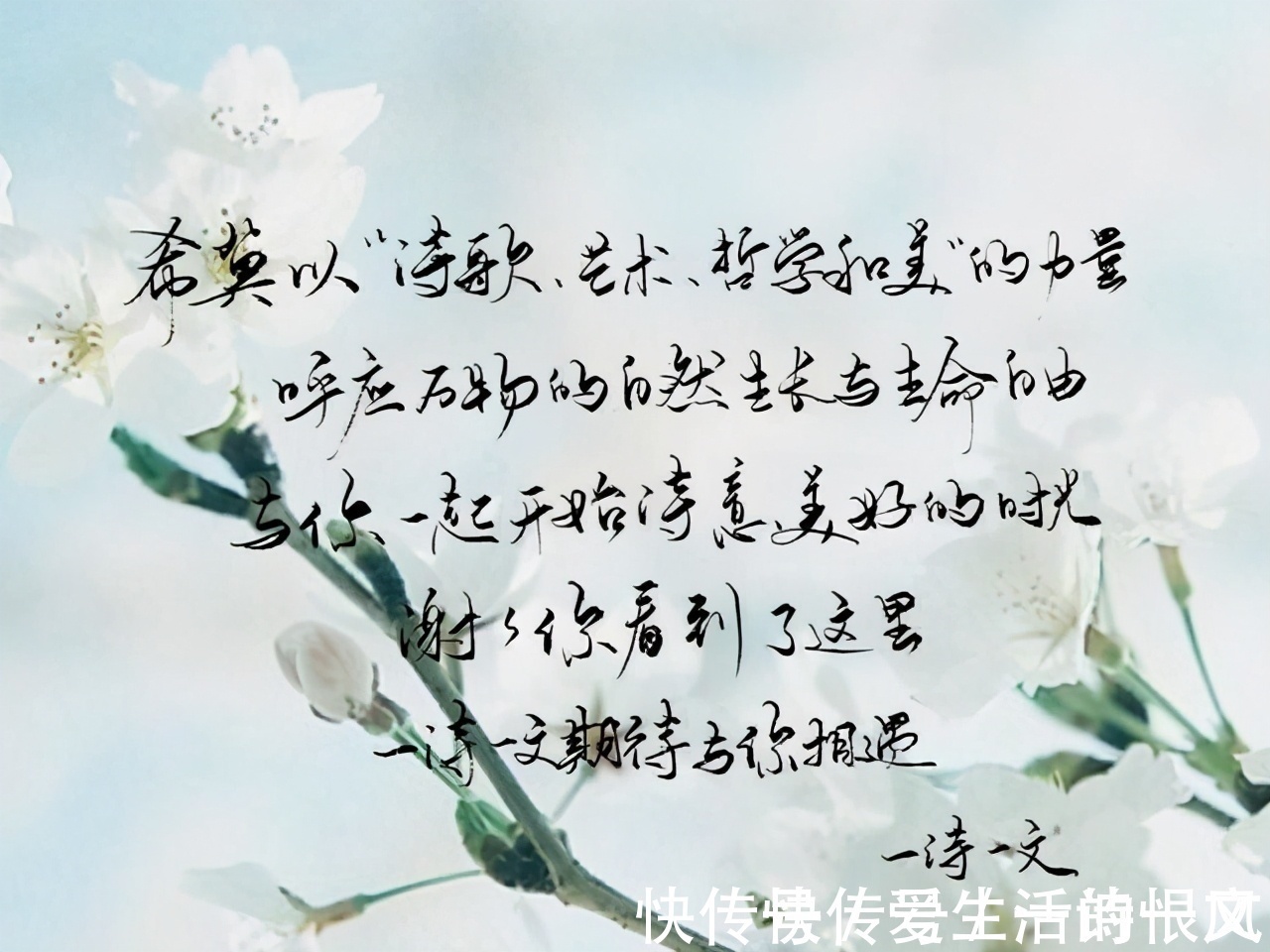 文字!或许人们把狂欢和爱情放在文字里是对的,因为它们别无去处