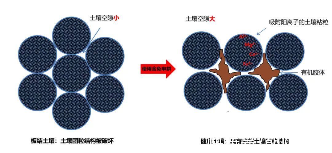 夢想改造家132萬紅磚房開始返堿！專家：只影響外觀，不影響質量