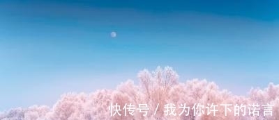 王夫之|闲愁四海难栖泊,王夫之的一首佳作,句句含悲,尾联更加令人心碎