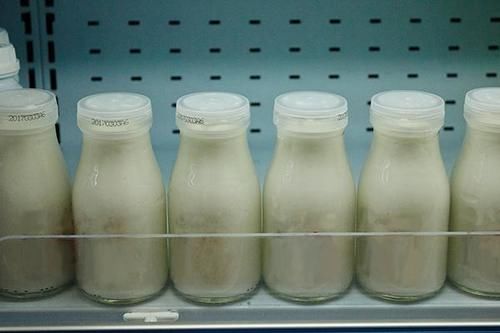 虾皮是“补钙神器”?医生:别盲目补,真正补钙的食物已为你列出