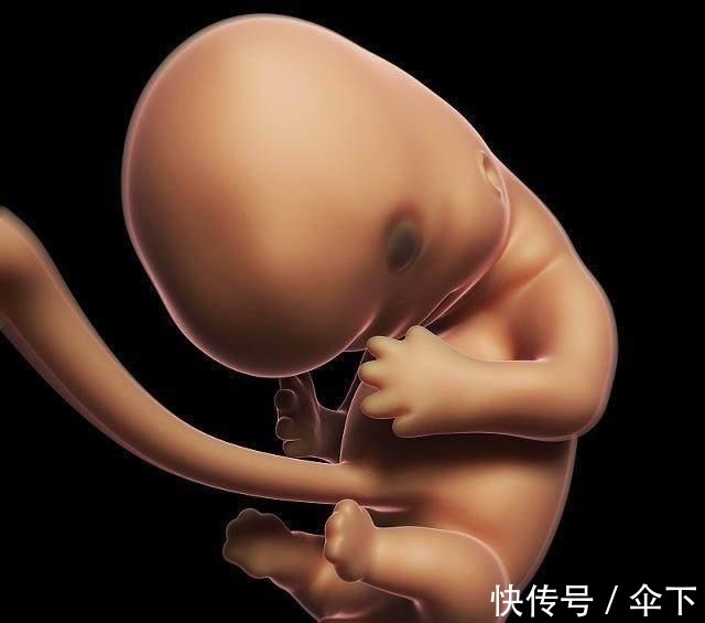 活泼型|胎动不一样，宝宝的性格不一样，你的宝宝属于这4种的哪一种！