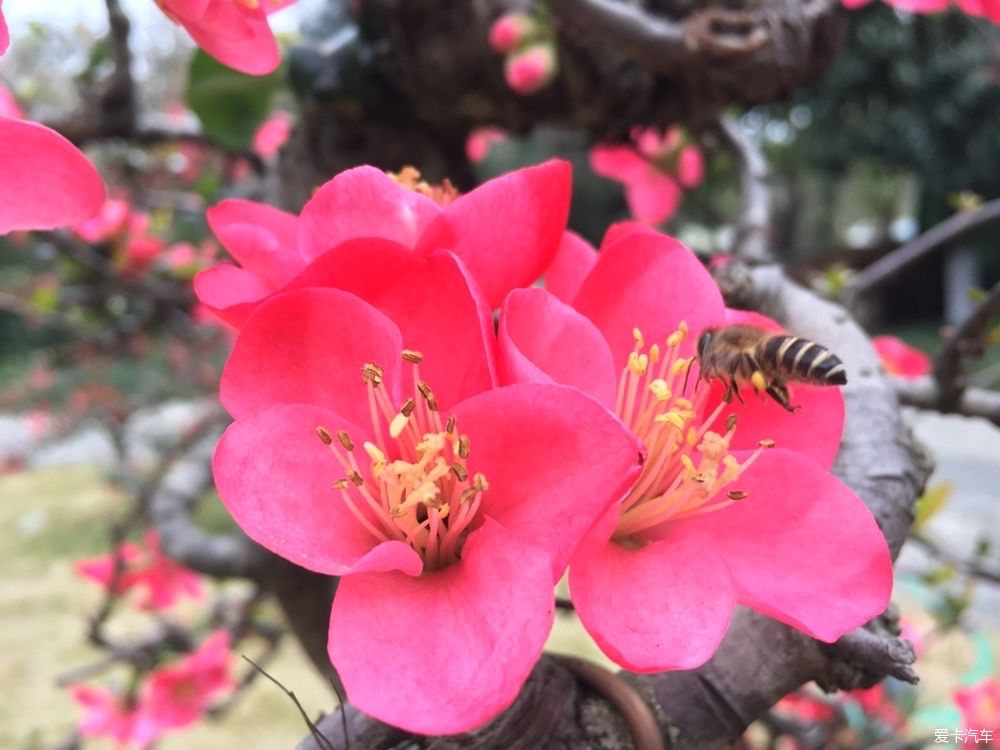 沙滩|游公园，骑单车逛成都，打卡最炫双子塔灯光秀