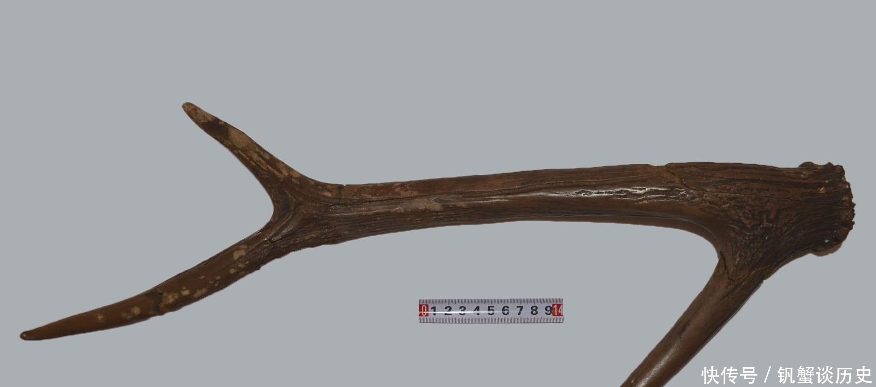 青墩遗址中出土鹿角,上刻神秘花纹,专家说:它难道是最初的易经