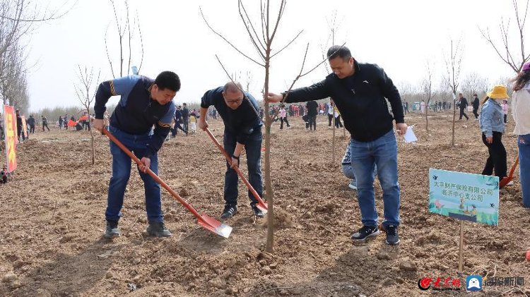 太平财产保险有限公司临沂中心支公司：助力绿色沂蒙 践行责任担当