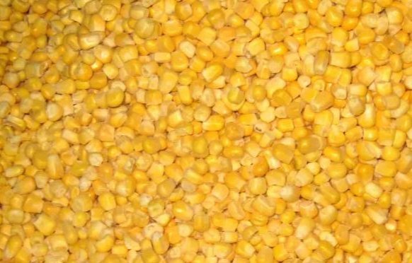 大鱼|教你如何配置诱钓大鱼的玉米粒窝料！