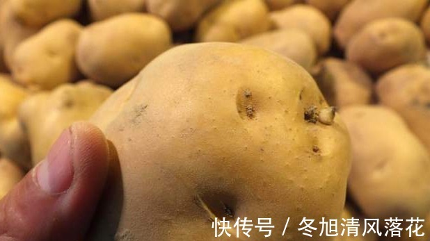 保存土豆别放地上，教你正确存储，放一个冬天不坏，不发芽还新鲜！