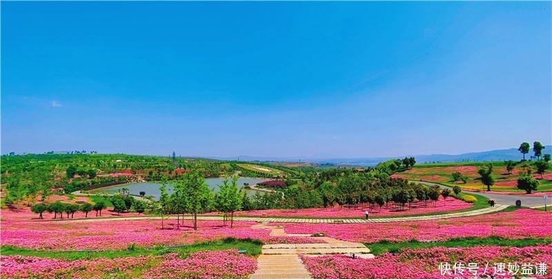 太平公主|中国旅游日将至 快来太平湖森林小镇感受花样时光