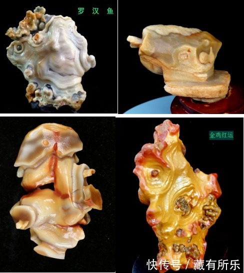 蛋白玛瑙《百变金刚》令人颠覆三观