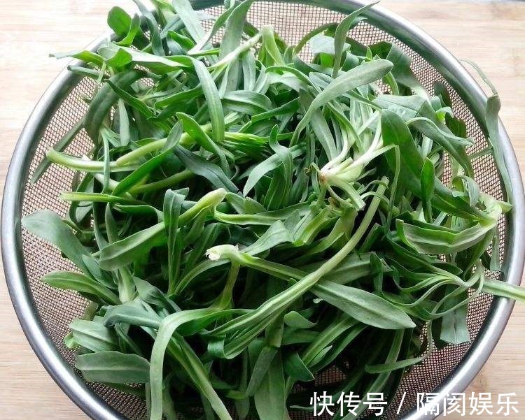 藤三七|一种野草,酷似“面条”,价值比较大,可以煮面条吃,止血是一绝