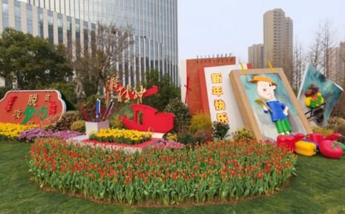 老年|咔嚓，来一张全家福！杭州新春高颜值拍照打卡地大搜罗