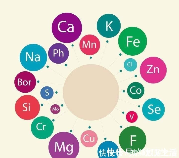 微量元素|父母身高都不高，却有办法让厌食的还在，13岁长到175cm！