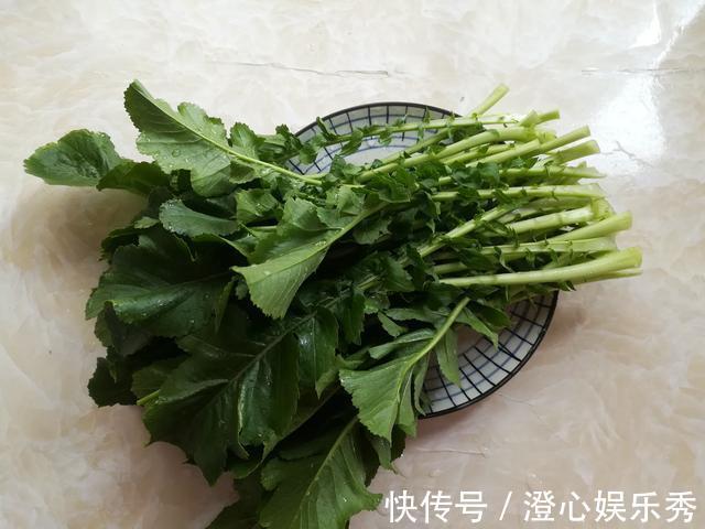 叶子|这菜被称为“小人参”,叶子营养极高,常被当垃圾扔掉,真可惜