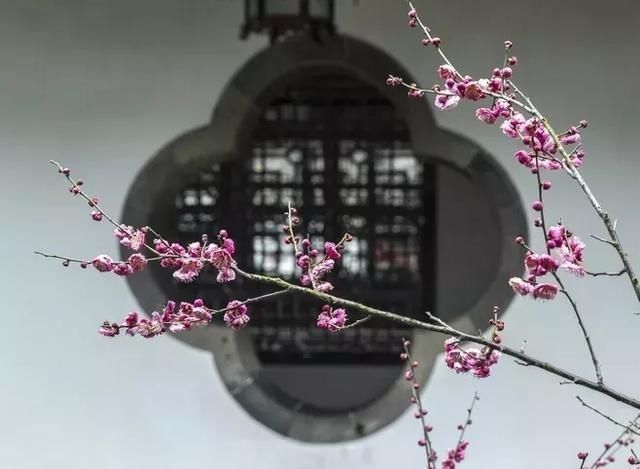 奇文|千古奇文《心相篇》20句话,看透人性,诠释人生,百读不厌