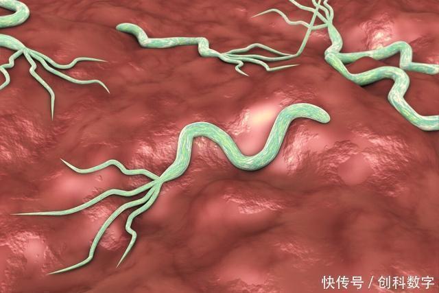 胃病“凶手”幽门螺杆菌逮着了,牢记好1个方法,胃越来越强壮