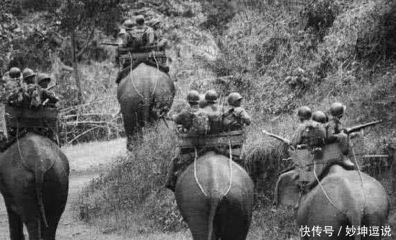 成吉思汗|成吉思汗用了一招让士兵不饿肚子,日本也效仿,结果饿死5万人