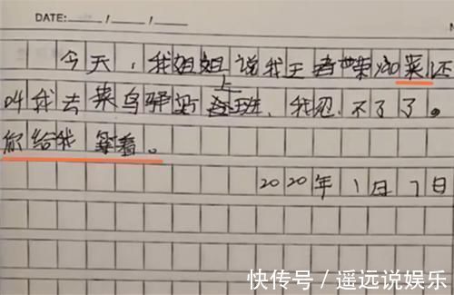 弟弟|“你给我等着”,二胎弟弟在“记仇本”中吐槽姐姐,看似忍了很久