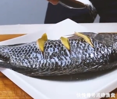 唯一让中国吃货退却的鱼营养比甲鱼高,全身是宝,只要4元一斤