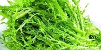莴笋和莴苣有什么区别，很多人不知道，看完以后就懂了