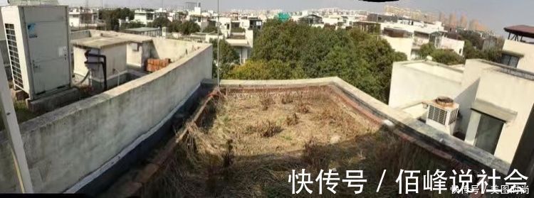 13㎡屋顶造花园,在喧嚣城市里,打造一个自己心灵深处的伊甸园