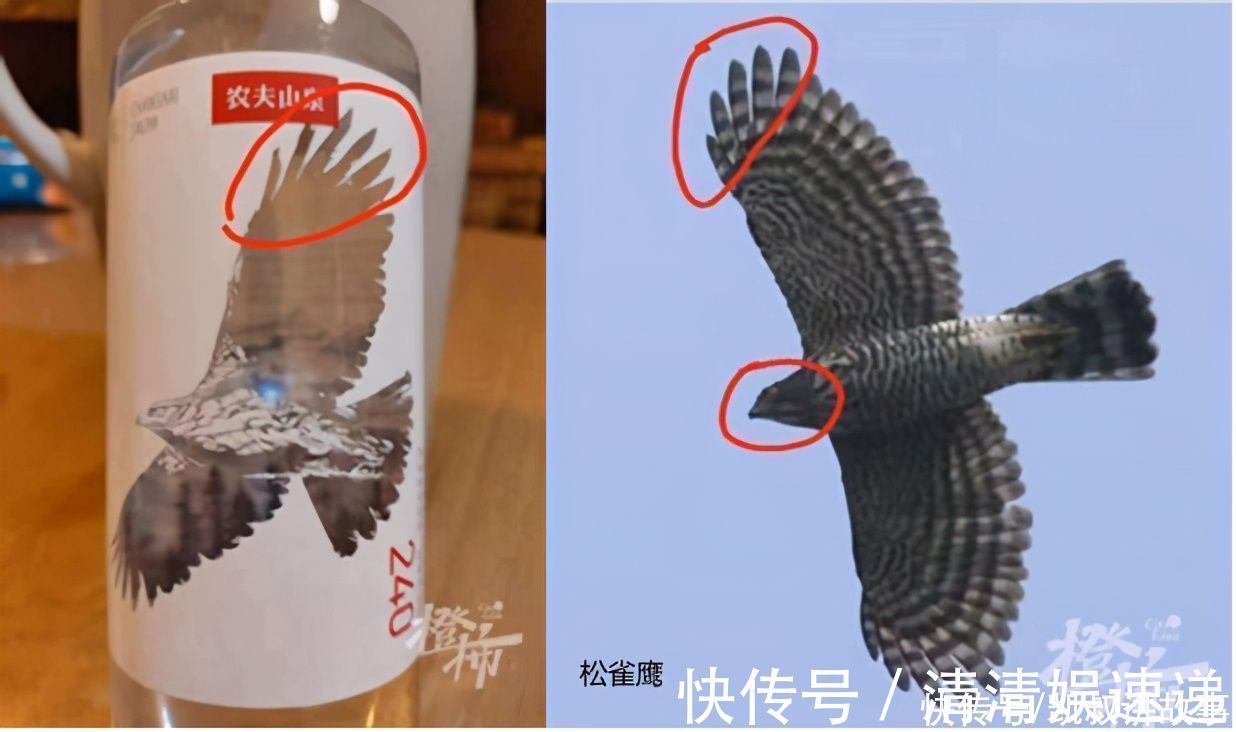 官方|小学生“叫板”农夫山泉,父母鼓励纠错,官方这样回答