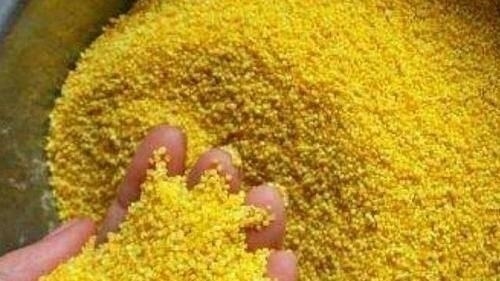 三黄|消化内科大夫多吃这“三黄”,胃炎悄悄消失,胃病绕着走