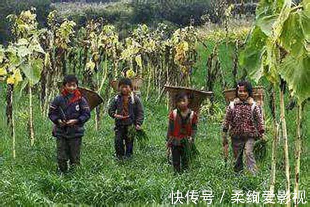藏獒|马俊仁退出体坛念狗经,将藏獒包装成4000万身价:我这是为国争光
